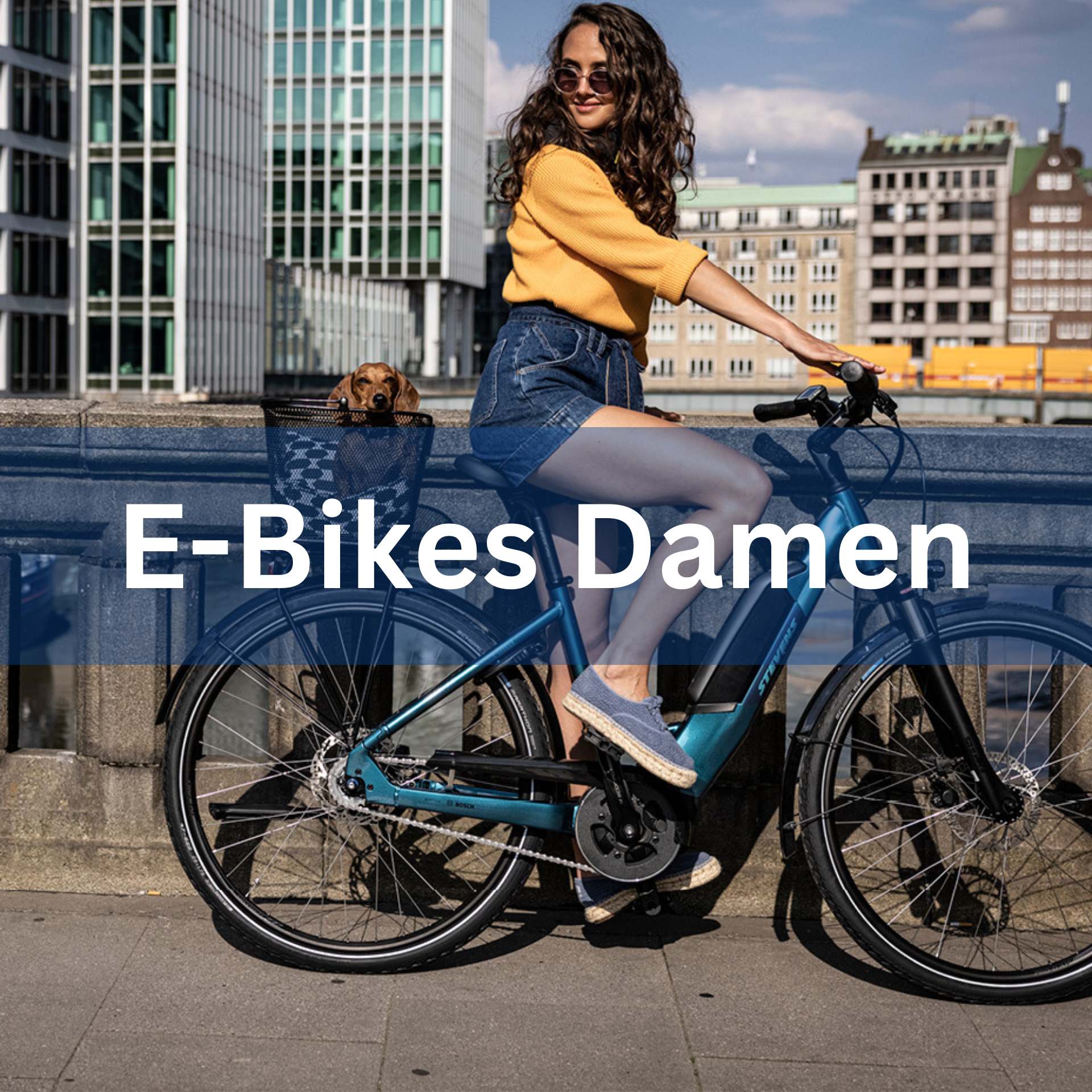 Kategorie E-Bikes Damen