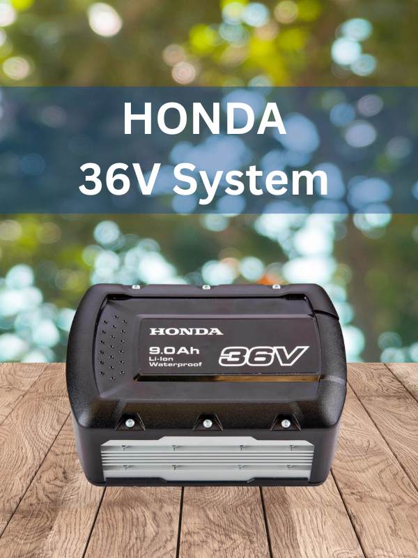Akkusystem  Honda 36V