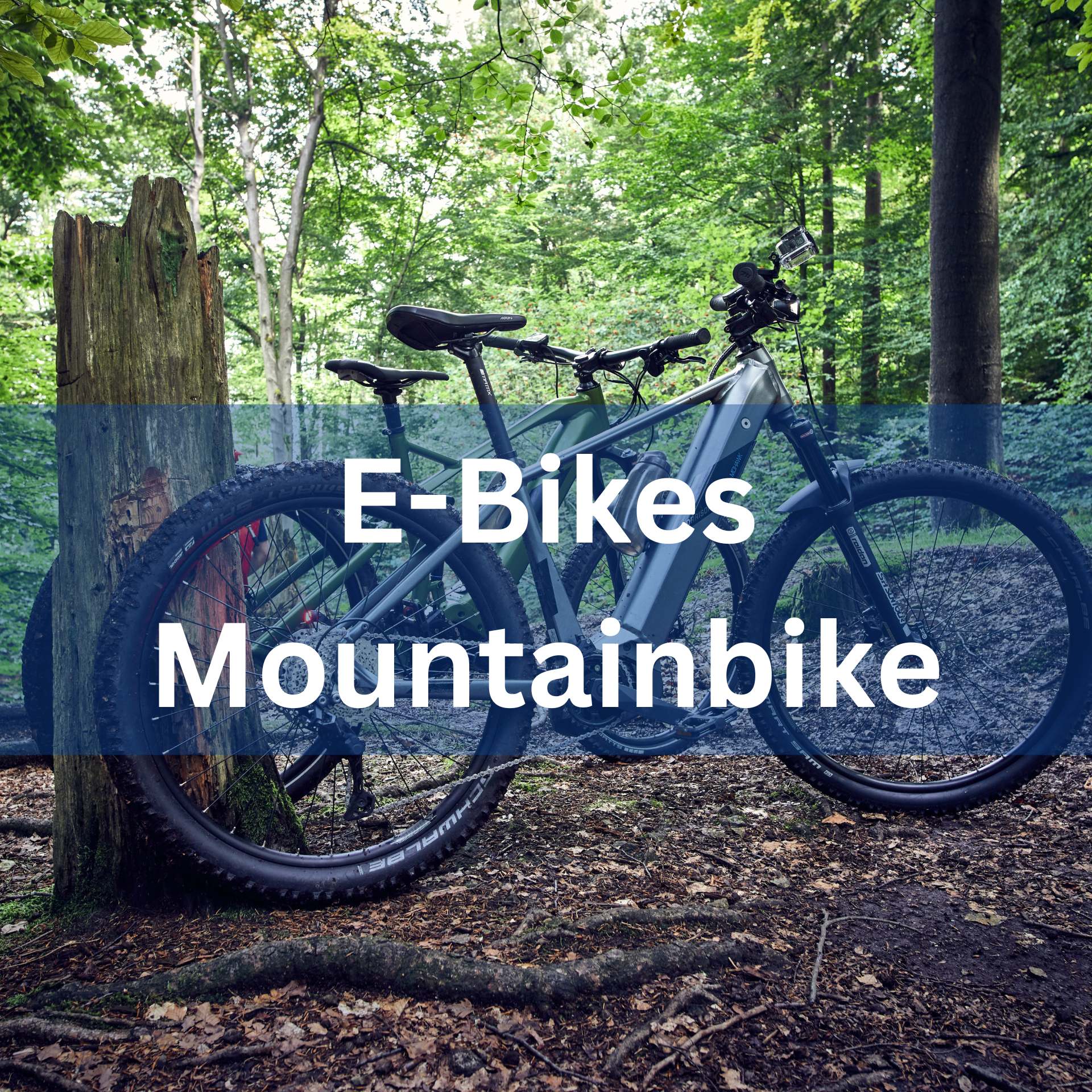 Kategorie E-Bikes Mountainbike