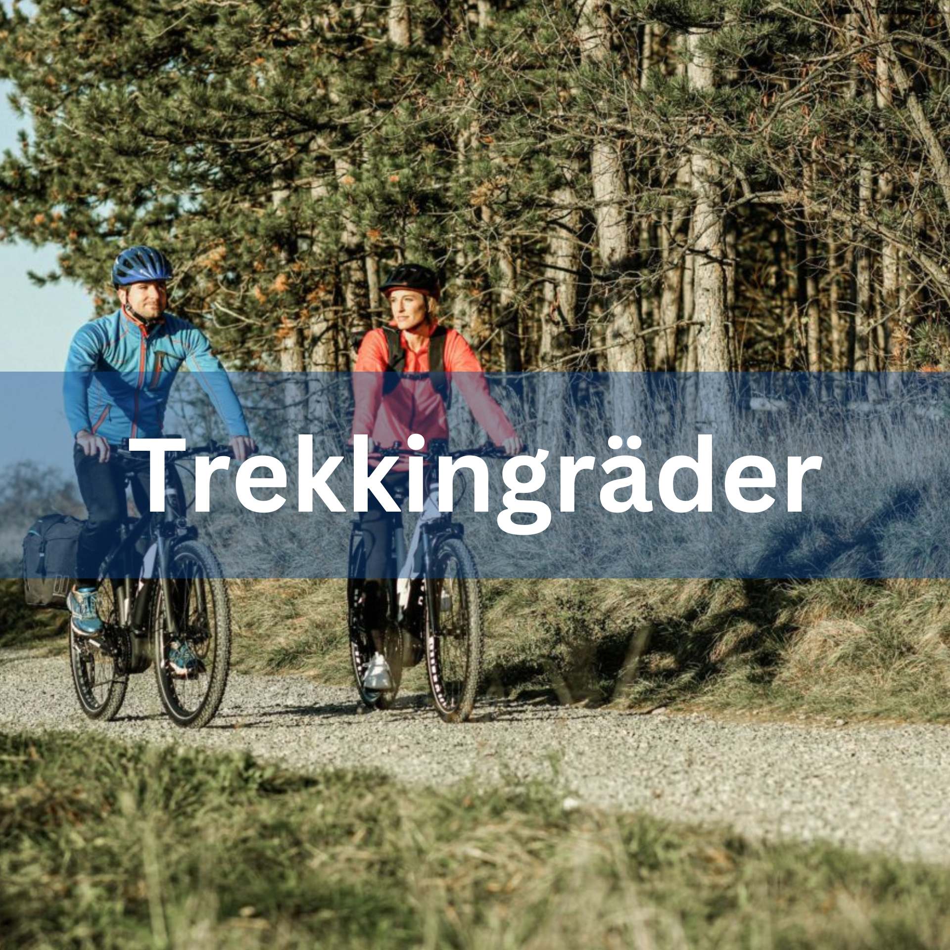 Kategorie Trekkingfahrräder